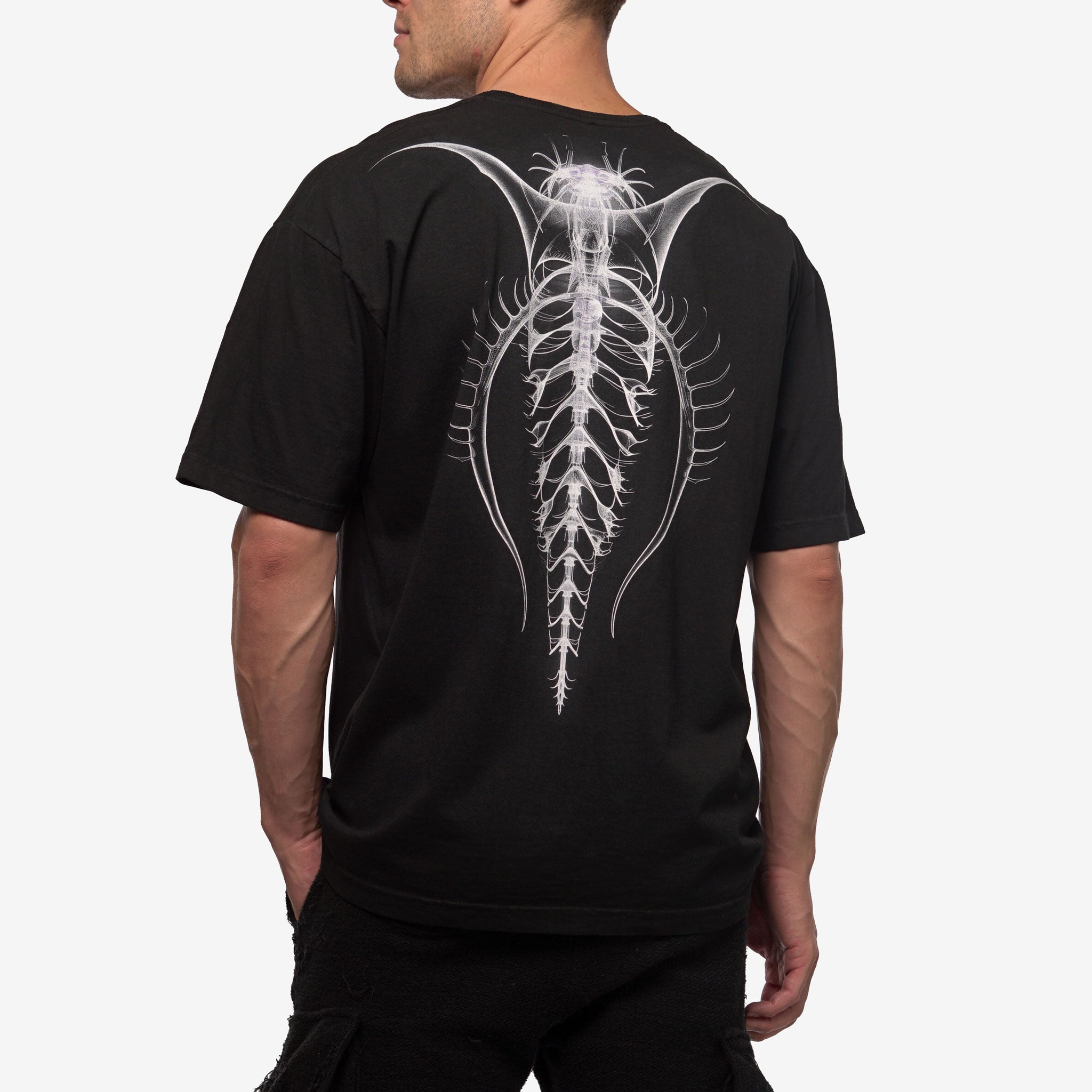 Load image into Gallery viewer, Glass Spine