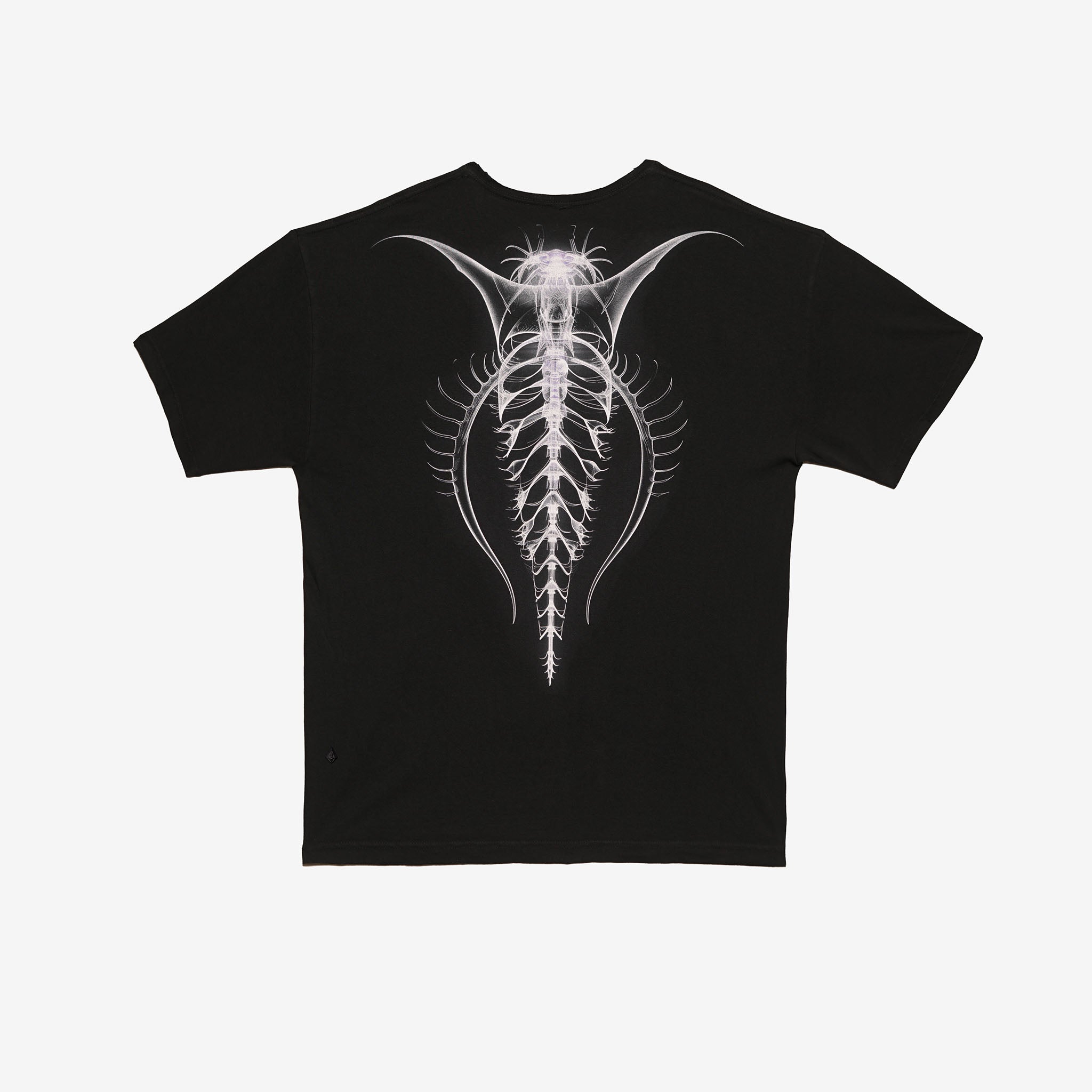 Load image into Gallery viewer, Glass Spine