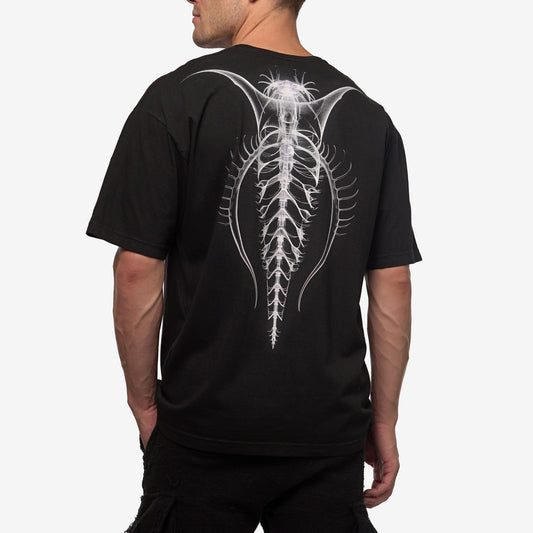Glass Spine