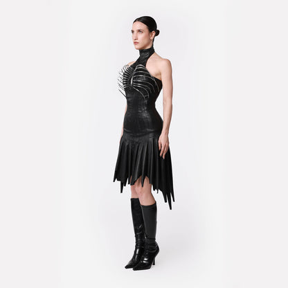 Marrella Dress