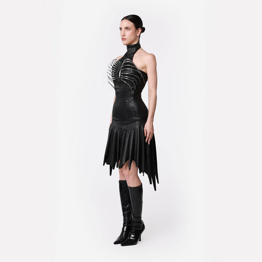 Marrella Dress
